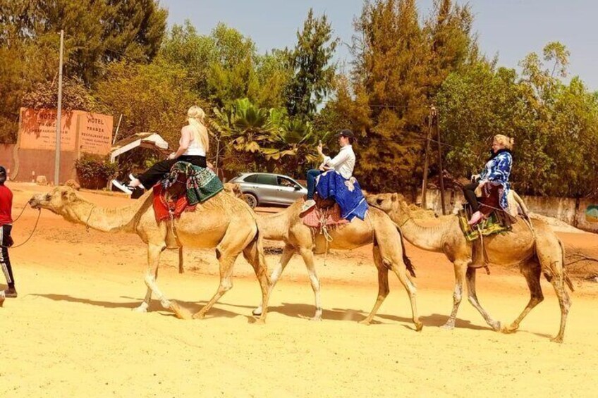 DAKAR, PINK LAKE AND BANDIA PARK SAFARI ( Minimum 2 Participants)