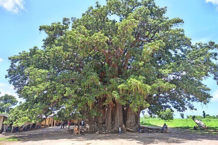 Bandia Park Safari (Minimum 2 Participants)