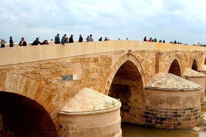 Roman Bridge in Cordoba (if you take 250 code)