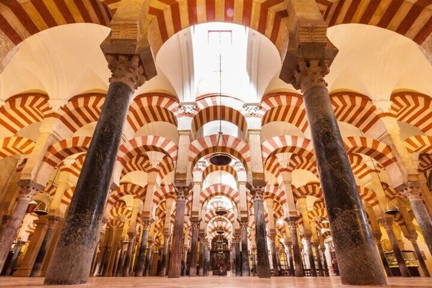 7-day Guided Tour Cordoba,Seville,Ronda,Costa Sol,Granada and Toledo from Madrid