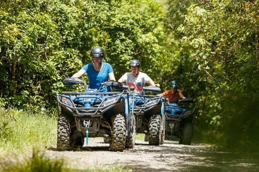 Show item 3 of 5. Quad Bike - Farm Forest Ride