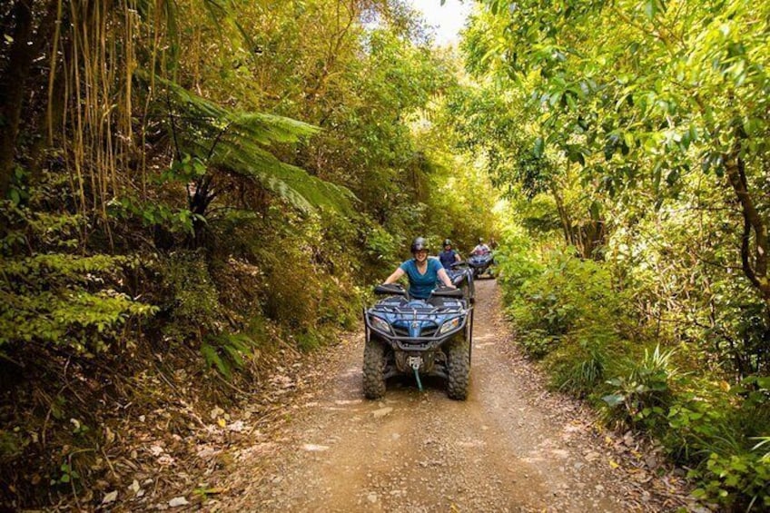 Show item 1 of 5. Quad Bike - Farm Forest Ride