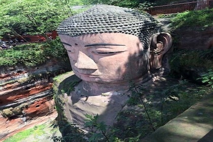 En dagstur til Chengdu Panda Base og Leshan Buddha Tour