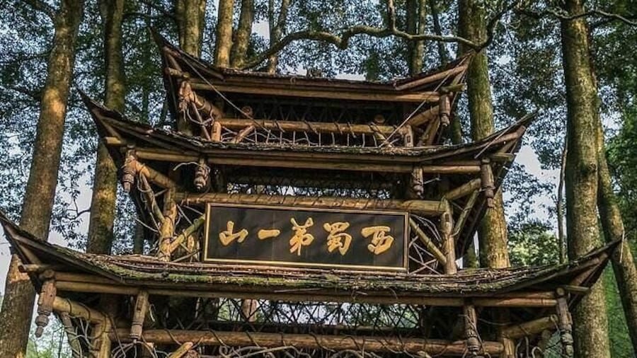 Chengdu Private Day Tour: Du jiang yan Panda Base and Qingcheng Mountain