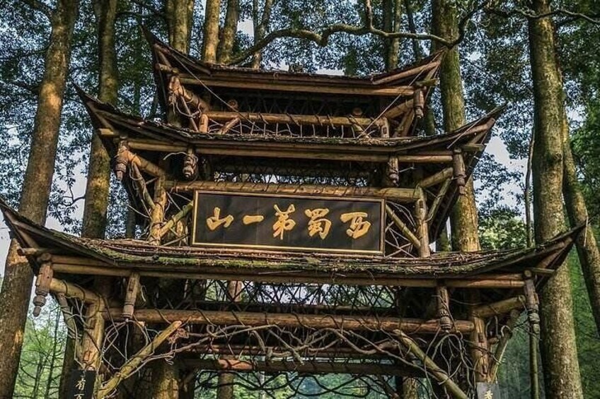 Chengdu Private Day Tour: Du jiang yan Panda Base and Qingcheng Mountain