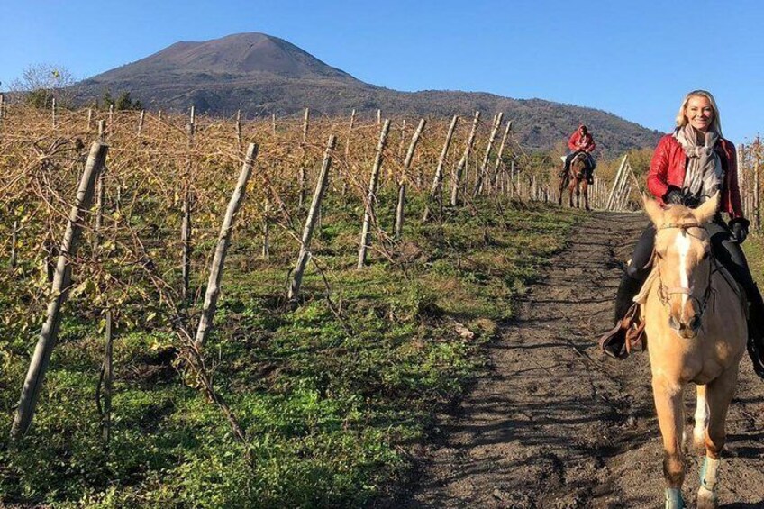 Horse Riding Experience on Vesuvius w/ Wine Tasting