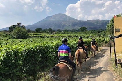 Scenic Horseback Ride, Wine Tasting & Lunch on Mt. Vesuvius