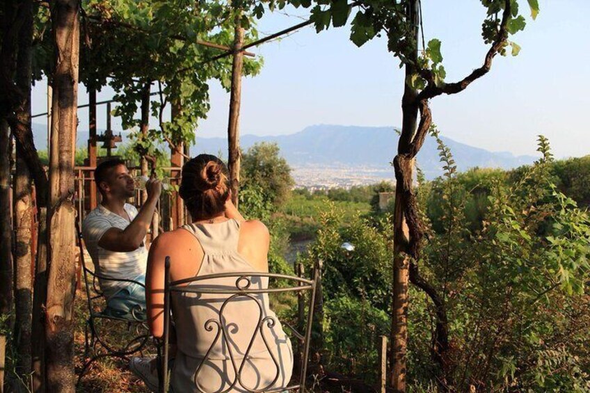 Horse Riding Experience on Vesuvius w/ Wine Tasting