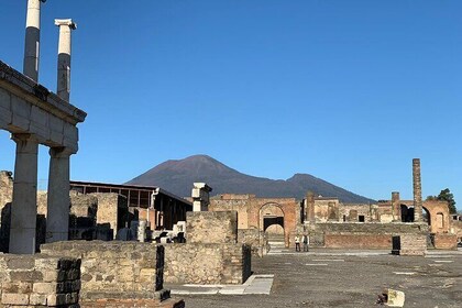 Pompeji och Herculaneum i privat formel