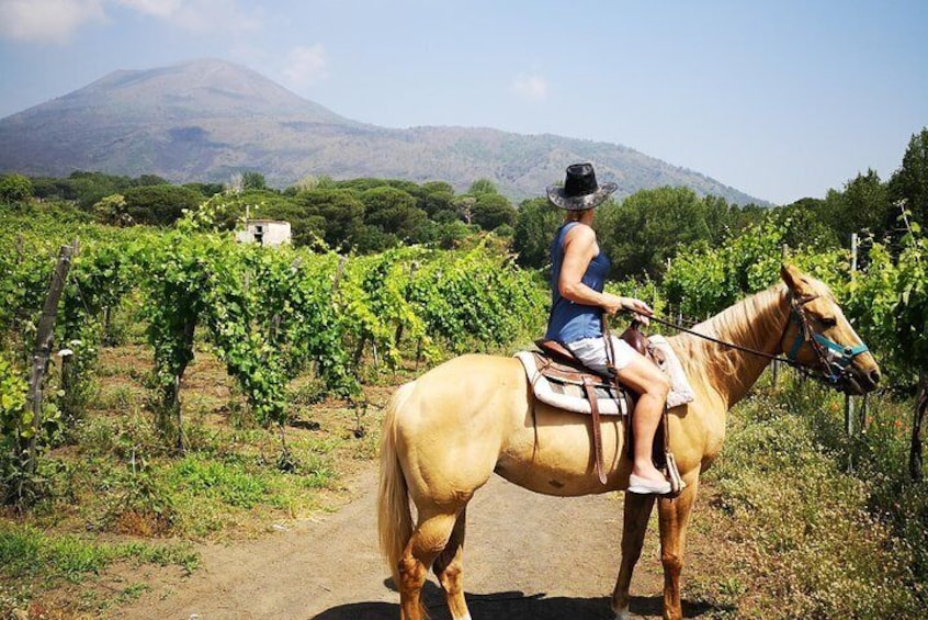 Pompei Ruins & Horseback riding on Vesuvius with Lunch!