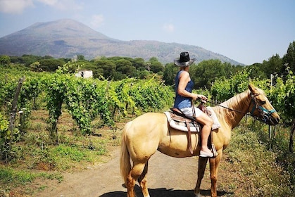 Tour guidato di Pompei ed equitazione sul Vesuvio con degustazione di vini