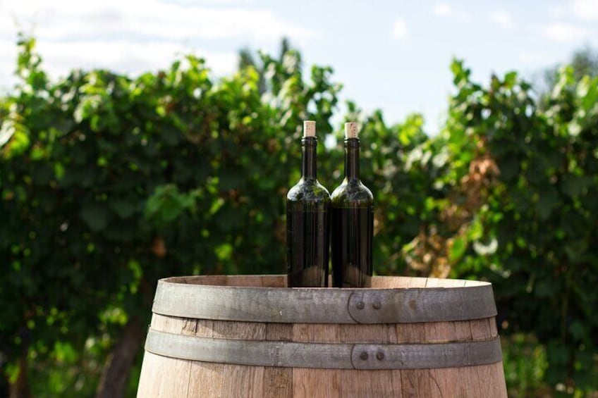 Grab a seat in a local venue and sip the our best selection of local wines while having a typical italian lunch!