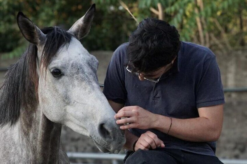 Pompeii Guided Tour & Horse Riding on Vesuvius with Lunch