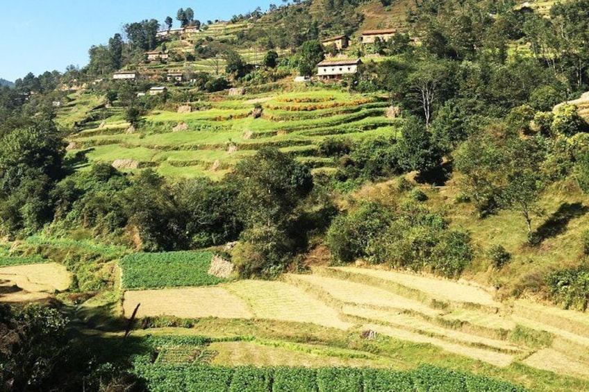 Ranikot Village and Feild