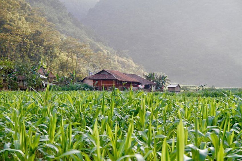 Local villge in Cao Bang Geopark