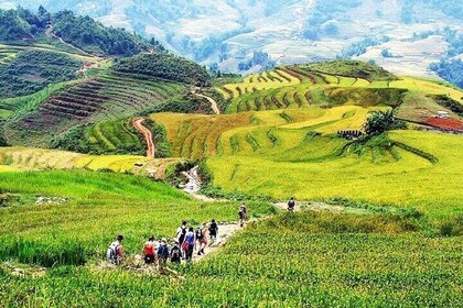 2-Day Trekking To Villages In Sapa with Homestay