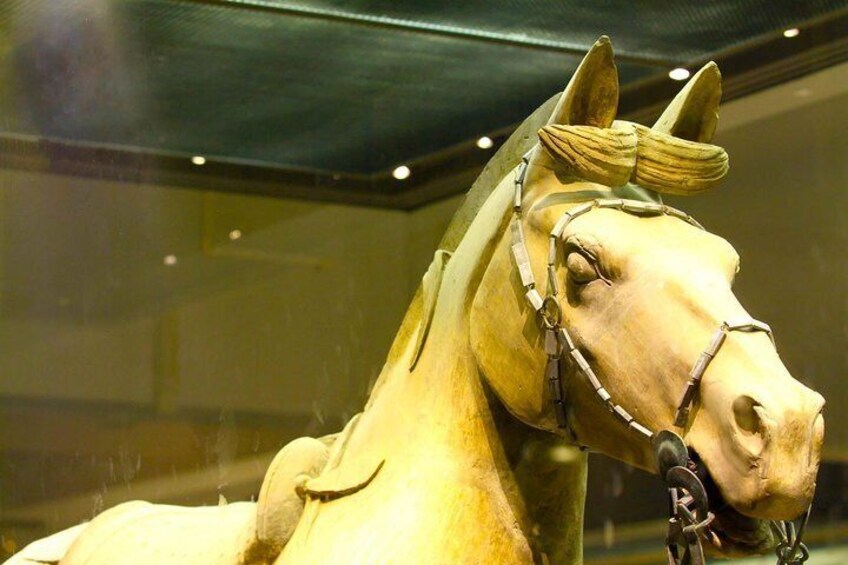 Terracotta Warriors and Horses