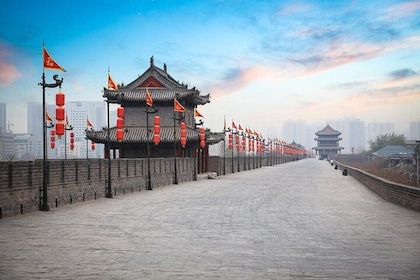 Xi'an City Wall: Guided Tour with Cycling Option