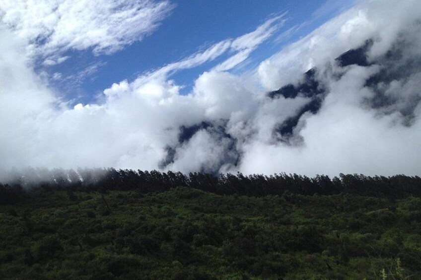 A beautiful landscape of Chandanbari.