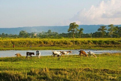 6 Days Chepang Village Homestay Hill Hike