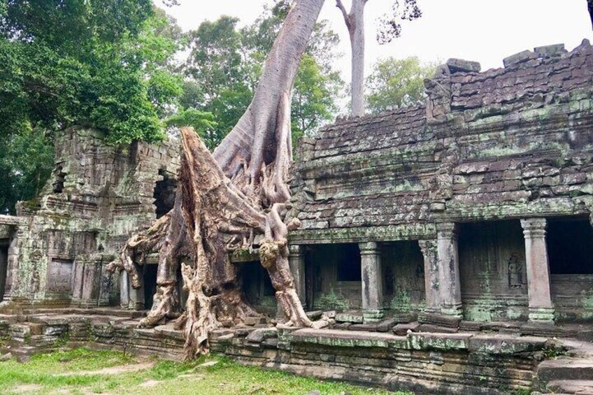 Siem Reap 3 Days Private Tours