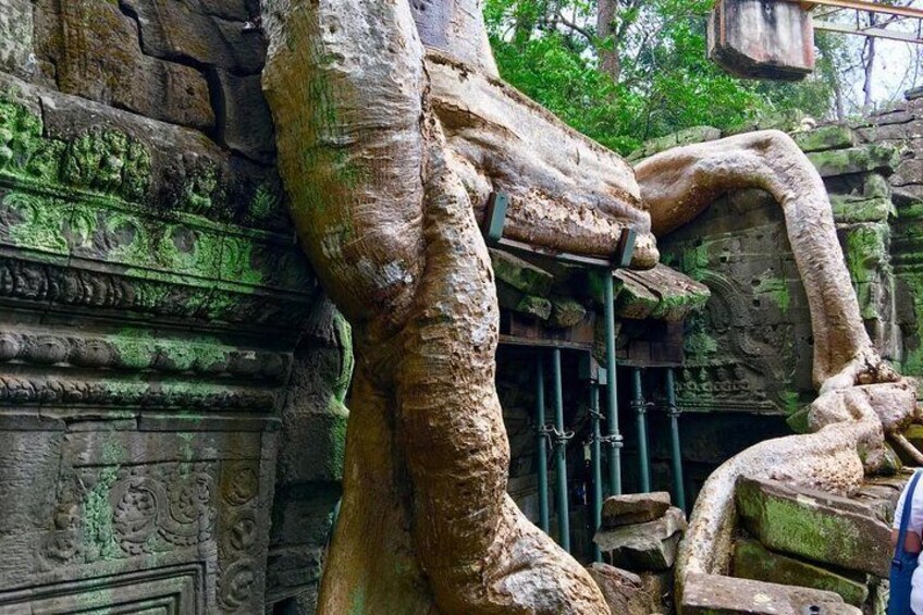 4 Days Cambodia Tour Packages