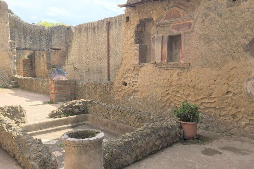 Skip the Line Ancient Herculaneum Small Group Walking Tour with Top Rated Guide