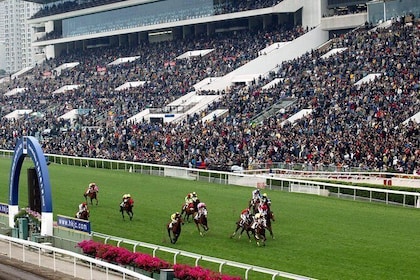 Enjoy the HKJC horse races from the 2M roof deck.