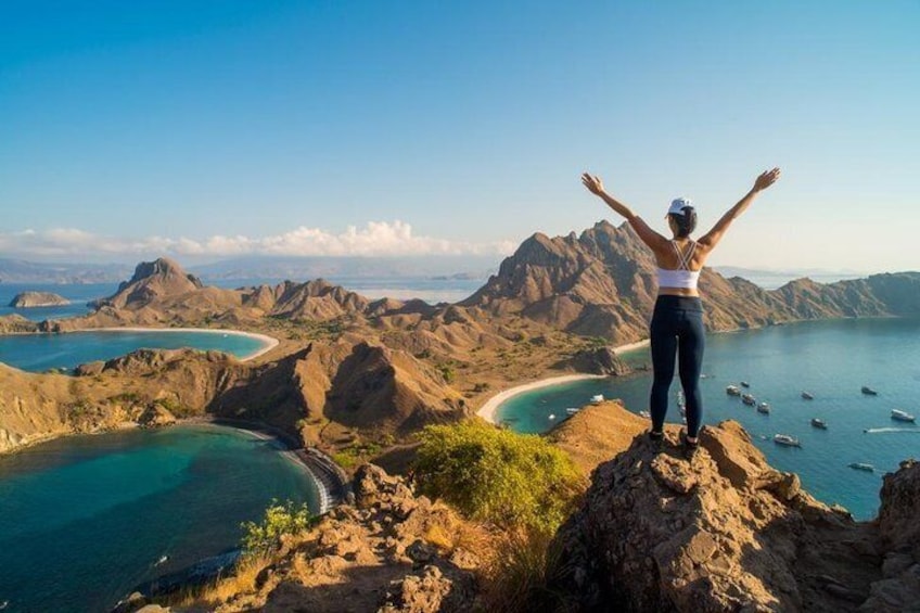 Komodo Island Adventure From Bali (Day Trip)