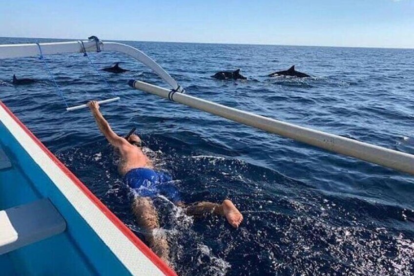 Watching Dolphin at Lovina Bali, Snorkeling and Breakfast Onboard