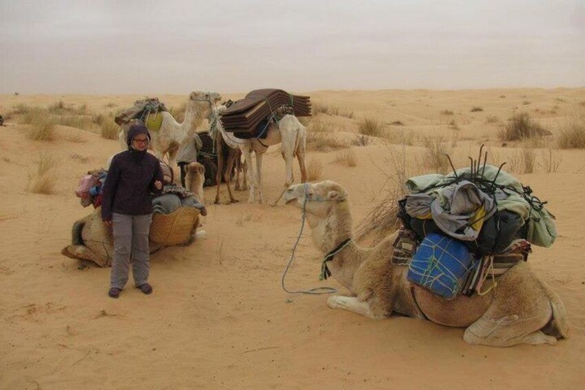 Camel ride and 1 night in the desert