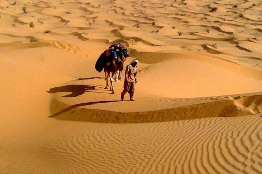 Camel ride and 1 night in the desert