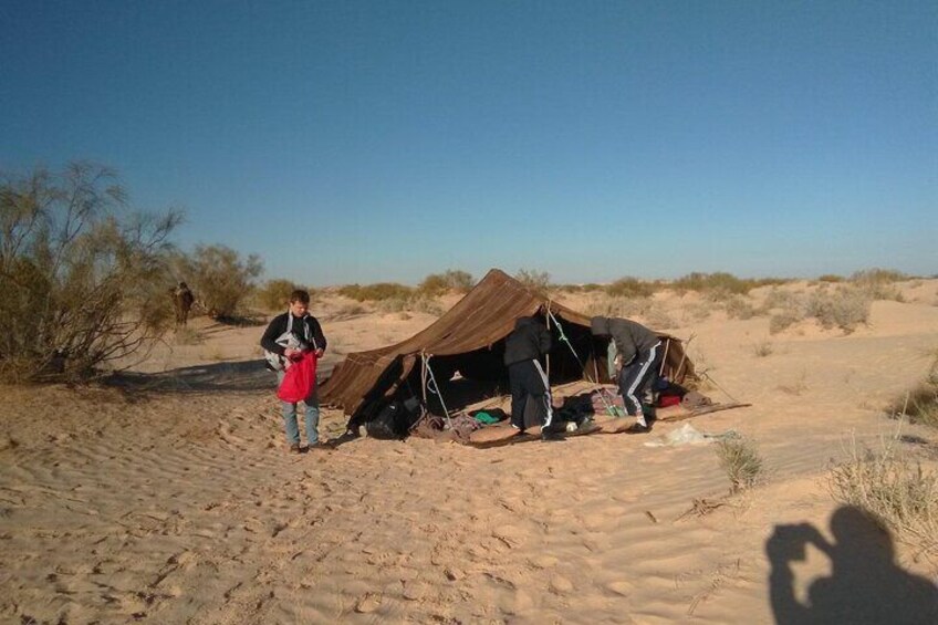 Camel ride and 1 night in the desert