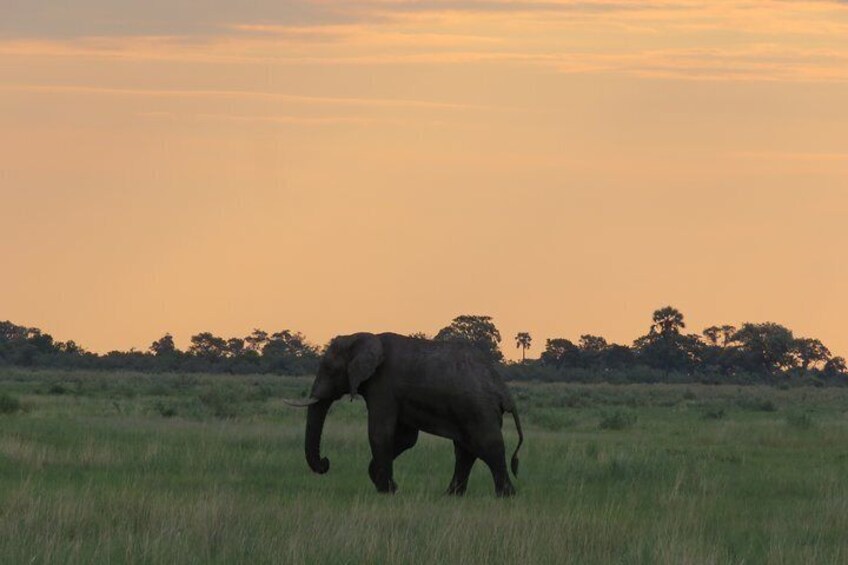 3 Day Inner Okavango Delta Safari, all-inclusive