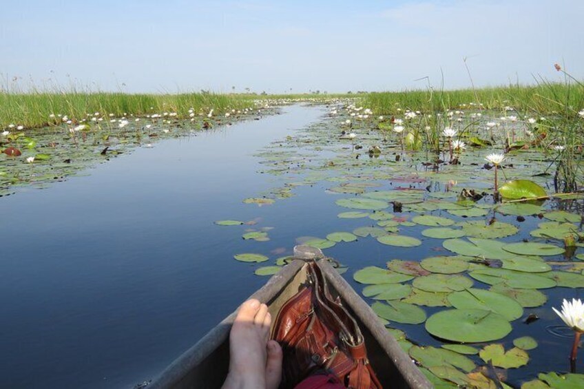 3 Day Inner Okavango Delta Safari, all-inclusive