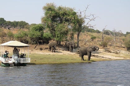 Full Day Chobe Safari start VictoriaFalls +lunch at floating restaurant or ...