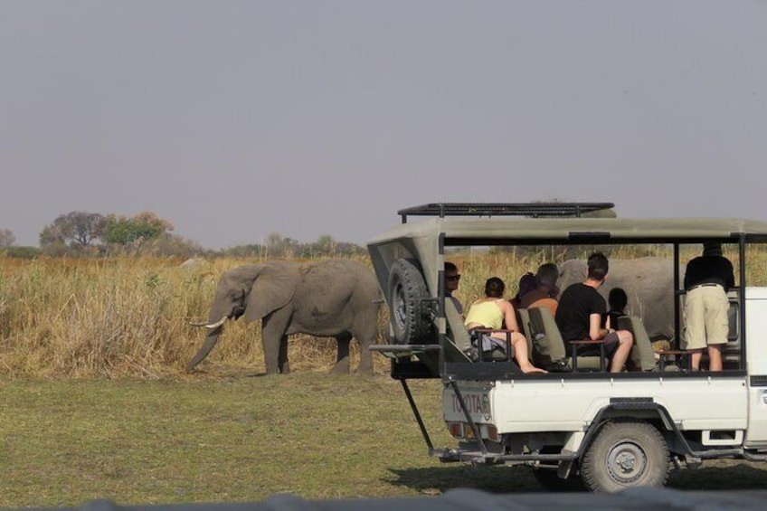 Game Drive in Opensided 4x4 Vehicle