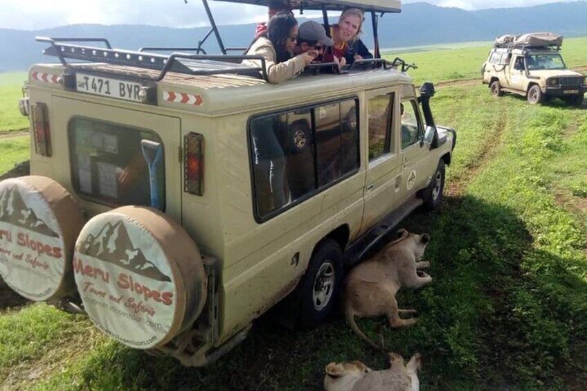 5 Days Camping Tarangire, Serengeti & Ngorongoro crater & Visiting Maasai 