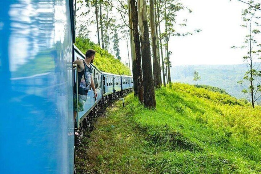 Beautiful Scenery All the Way