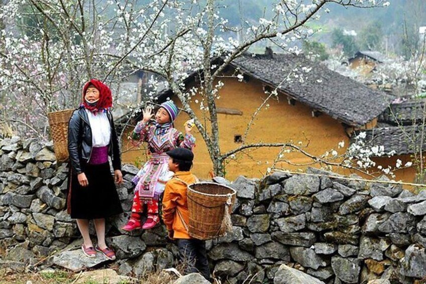 Sapa 3 Days 2 Nights Trekking Tour (1 Night In Hotel, 1 Night In Bungalow)