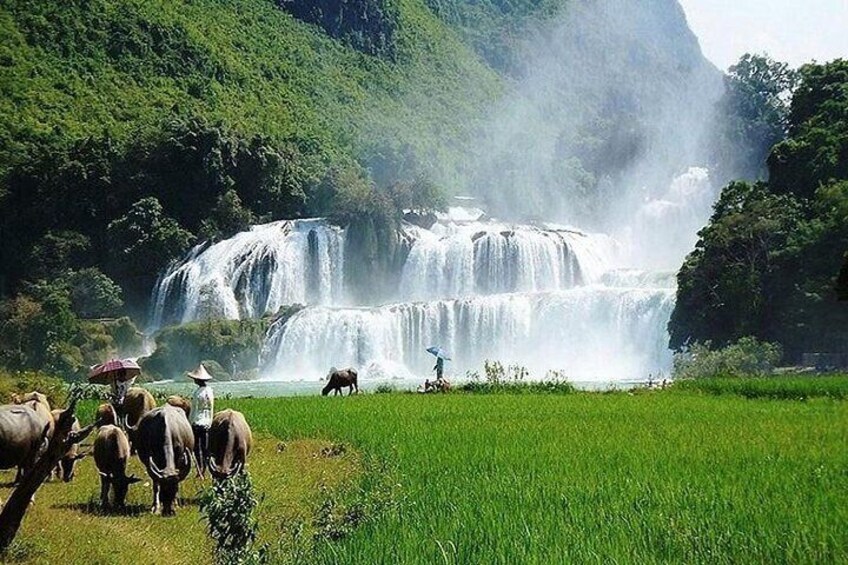 Ban Gioc Waterfall 2 days 1 night from Hanoi