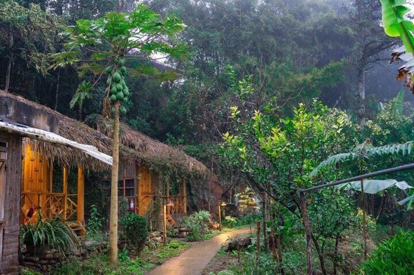 Sapa 2 Days 1 Night From Hanoi - Overnight in Ta Van Village