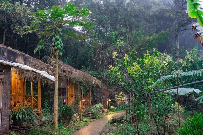 Sapa 2 Days 1 Night From Hanoi - Overnight in Ta Van Village
