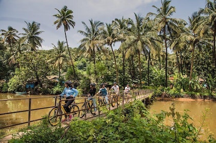 Village Vibes: Cansaulim Coastal E-Bike & Japanese Tea Tour