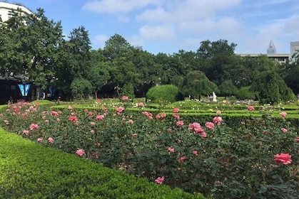 Walking tour