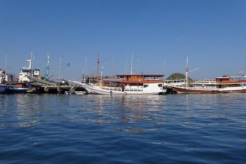 Show item 5 of 15. Komodo island 2 days - 1 night