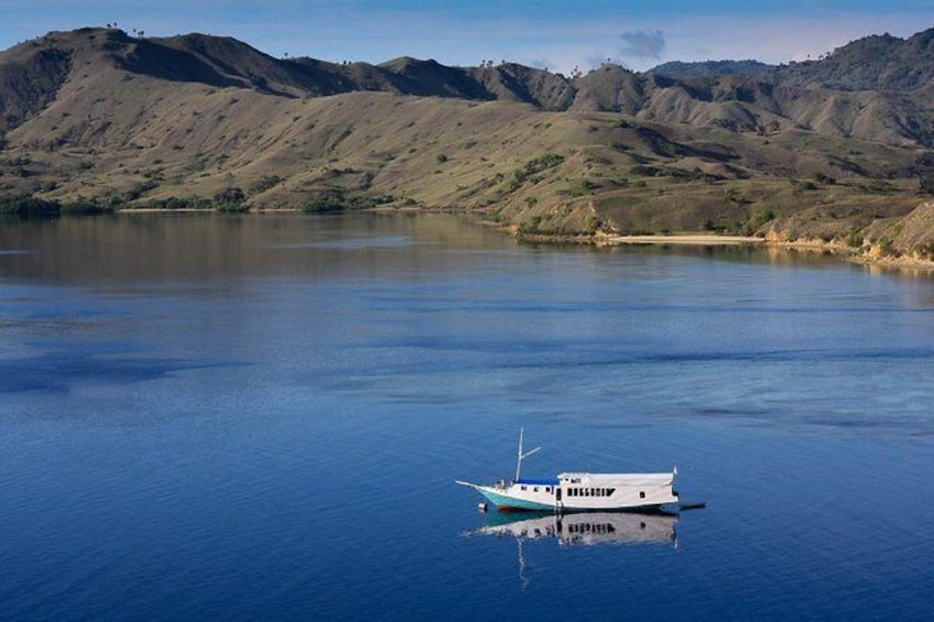 Show item 1 of 15. Komodo island 2 days - 1 night