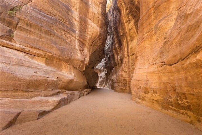 The Siq in Petra Jordan 