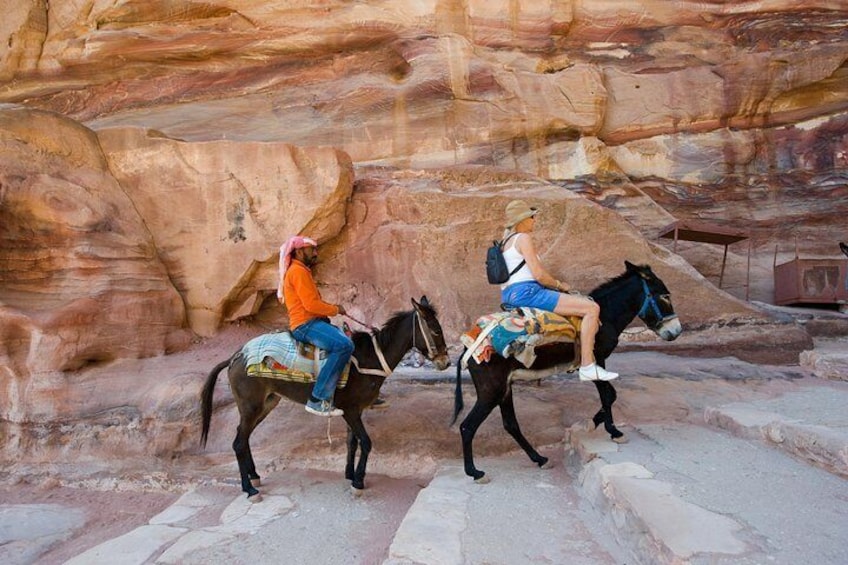 Petra Privet tour from Tel Aviv