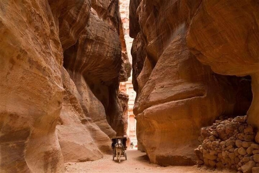 The Siq in Petra Jordan 